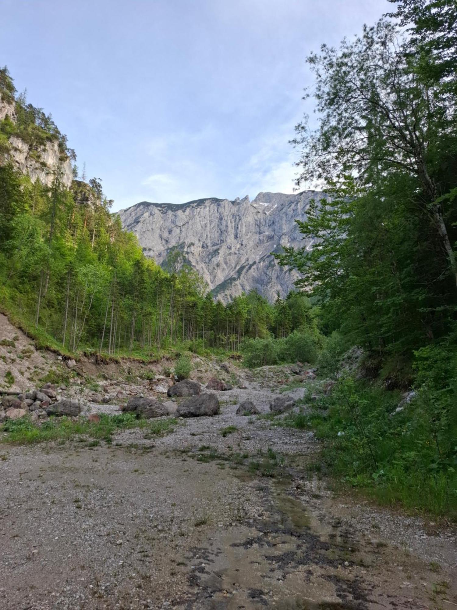Gasthof International Hieflau Bagian luar foto